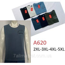 Майка чоловіча супербатал розміри 2хл-5хл (46-54) (мікс кв) "STELLA" купити недорого від прямого постачальника