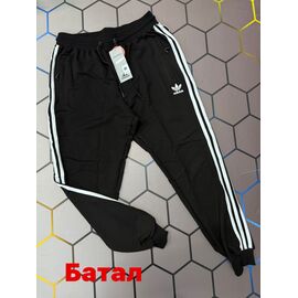 Фотография Штаны спортивные мужские 4424 black р.2XL-6XL "Alex Clothes" недорого оптом от прямого поставщика