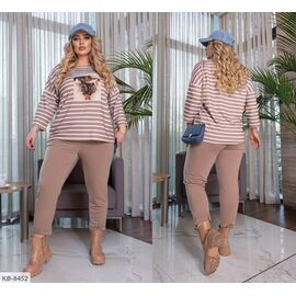 Фотография Костюм брючный женский большие размеры р.48-50;52-54;56-58;60-62 (3цв) "VIKA" купить недорого от прямого поставщика