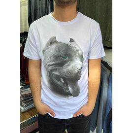 Фотография Футболка мужская 5170 white р.M-2XL "Vip Stendo" недорого оптом от прямого поставщика