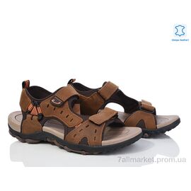 Фотография Сандалии мужские летние Лето 3689-L101-1 (8 пар р.41-46) "Мир" недорого оптом от прямого поставщика
