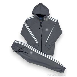 Спортивний костюм чоловічий Весна/осінь 202 d.grey (5 шт. р.сіткаM-3XL) "Verton" недорого оптом від прямого постачальника