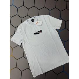 Футболка чоловіча 4522 white р.S-2XL "Alex Clothes" недорого оптом від прямого постачальника