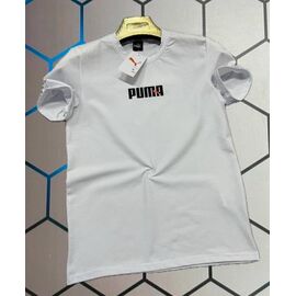 Футболка чоловіча 4523 white р.S-2XL "Alex Clothes" недорого оптом від прямого постачальника