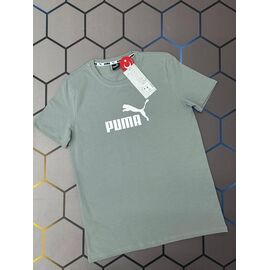 Футболка чоловіча 4563 grey р.S-2XL "Alex Clothes" недорого оптом від прямого постачальника