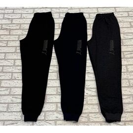 Штани спортивні чоловічі E198 d.grey р.46-54 "Essa" недорого оптом від прямого постачальника