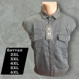 Фотография Рубашка мужская 5276 grey р.2XL-6XL "ROLADA" недорого оптом от прямого поставщика