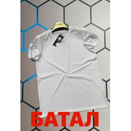 Фотография Футболка мужская 4668 white р.2XL-6XL "Alex Clothes" недорого оптом от прямого поставщика