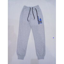 Штани дитячі спортивні на хлопчика 82 grey р.12-15 "MALIBU" недорого оптом від прямого постачальника