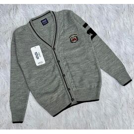 Фотография Кофта детская на мальчика FK1348 grey р.6-9 "Fili kids" недорого оптом от прямого поставщика