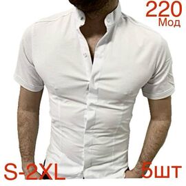 Сорочка дитяча легка на хлопчика 220-1 white р.46-54 "EMRE" недорого оптом від прямого постачальника