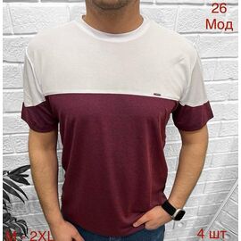 Футболка чоловіча 27 wine р.3XL-6XL "EMRE" недорого оптом від прямого постачальника