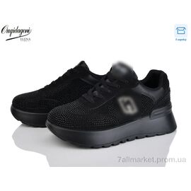 Кросівки жіночі модні Весна/осінь 1259-1B (8 пар р.36-41) "Dageni" недорого оптом від прямого постачальника