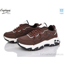 Фотография Кроссовки женские модные Весна/осень B887-8 (8 пар р.37-41) "Dageni" недорого оптом от прямого поставщика