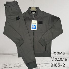 Костюм спортивний чоловічий 9165-2 grey р.M-3XL "Hai" недорого оптом від прямого постачальника