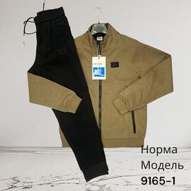 Костюм спортивний чоловічий 9165-1 brown р.M-3XL "Hai" недорого оптом від прямого постачальника