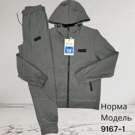 Костюм спортивний чоловічий 9167-1 grey р.M-3XL "Hai" недорого оптом від прямого постачальника