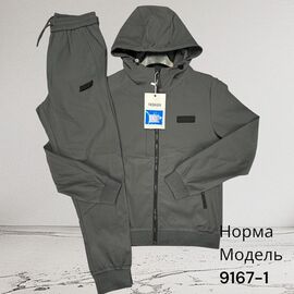 Костюм спортивний чоловічий 9167-1 d.grey р.M-3XL "Hai" недорого оптом від прямого постачальника
