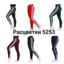 Лосини жіночі 5253 black р.42-48 "VICTORY" недорого оптом від прямого постачальника