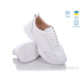 Фотография Кроссовки женские модные Весна/осень 176-4 (6 пар р.36-40) "Stella" недорого оптом от прямого поставщика