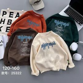 Фотография Свитер детский на мальчика 25322 orange р.120-160 "Delfinka" недорого оптом от прямого поставщика