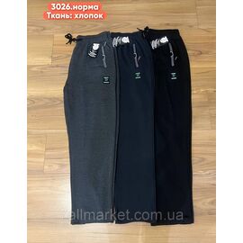 Спортивні штани чоловічі розміри M-3XL (3кв) "STELLA" недорого від прямого постачальника