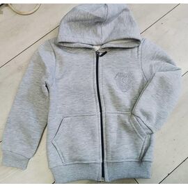 Кофта дитяча спортивна на хлопчика IB600 grey р.6-9 "iBamBino" недорого оптом від прямого постачальника