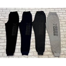 Фотография Штаны спортивные мужские 011 navy р.46-54 "Essa" недорого оптом от прямого поставщика