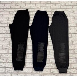 Штани спортивні чоловічі K5 grey р.46-54 "Essa" недорого оптом від прямого постачальника