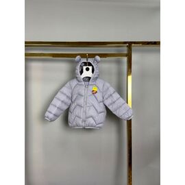 Фотография Куртка детская демисезонная на мальчика Bear9 grey р.90-130 "Delfinka" недорого оптом от прямого поставщика