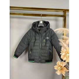 Фотография Куртка детская демисезонная на мальчика A31 grey р.98-122 "Delfinka" недорого оптом от прямого поставщика