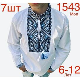 Вишиванка дитяча на хлопчика N1543-2 white р.6-12 "EMRE" недорого оптом від прямого постачальника