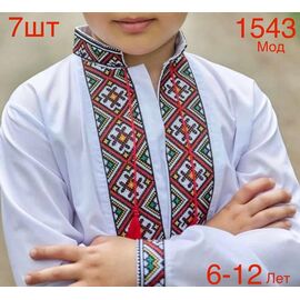 Вишиванка дитяча на хлопчика N1543-3 white р.6-12 "EMRE" недорого оптом від прямого постачальника