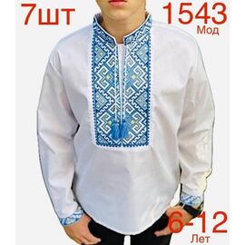 Вишиванка дитяча на хлопчика N1543-7 white р.6-12 "EMRE" недорого оптом від прямого постачальника