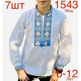 Фотография Вышиванка детская на мальчика N1543-8 white р.6-12 "EMRE" недорого оптом от прямого поставщика