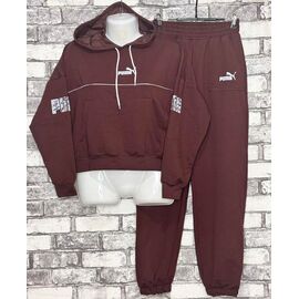 Костюм спортивний жіночий теплий E388 brown р.44-52 "Essa" недорого оптом від прямого постачальника