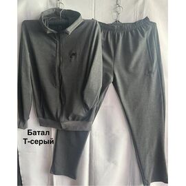 Фотография Костюм спортивный мужской MH1210 grey р.56-64 "WELL" недорого оптом от прямого поставщика