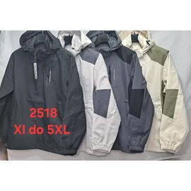 Фотография Кофта спортивная мужская 2518 black р.XL-5XL "PALMIRA" недорого оптом от прямого поставщика