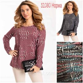 Кофта жіноча, молодіжна розмір L-4XL (мікс-кв) "NICOLAS" недорого від прямого постачальника