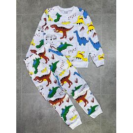 Фотография Пижама детская тёплая на мальчика FK1375 l.grey р.9-12 "Fili kids" недорого оптом от прямого поставщика