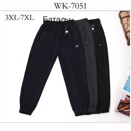 Фотография Штаны спортивные мужские WK7051 navy р.3XL-7XL "Hoan" недорого оптом от прямого поставщика