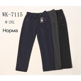 Фотография Штаны спортивные мужские WK7115 black р.M-3XL "Hoan" недорого оптом от прямого поставщика
