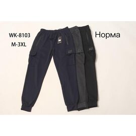 Фотография Штаны спортивные мужские WK8103 black р.M-3XL "Hoan" недорого оптом от прямого поставщика