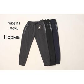 Фотография Штаны спортивные мужские WK8111 black р.M-3XL "Hoan" недорого оптом от прямого поставщика