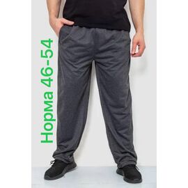 Фотография Штаны спортивные мужские 2845 grey р.46-54 "Алия" недорого оптом от прямого поставщика