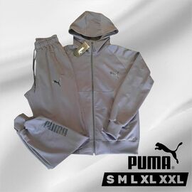 Фотография Костюм спортивный мужской 6290 grey р.S-2XL "ROLADA" недорого оптом от прямого поставщика