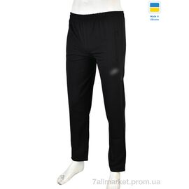 Спортивні штани чоловічі Весна/осінь 004-2 black (5 шт. р.сітка46-54) "Banko" недорого оптом від прямого постачальника