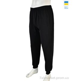 Спортивні штани чоловічі Весна/осінь 009-3 black (5 шт. р.сітка46-54) "Banko" недорого оптом від прямого постачальника