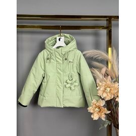 Куртка дитяча демісезонна на дівчинку 1122 mint р.104-128 "Delfinka" недорого оптом від прямого постачальника