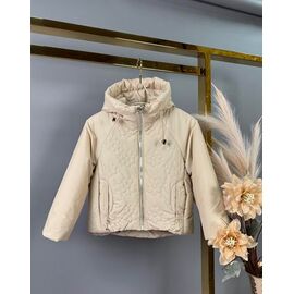 Куртка дитяча демісезонна на дівчинку 863 beige р.104-128 "Delfinka" недорого оптом від прямого постачальника